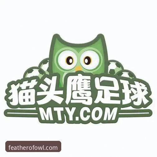 最新猫头鹰体育平台的实用评测指南：版本更新与体验对比