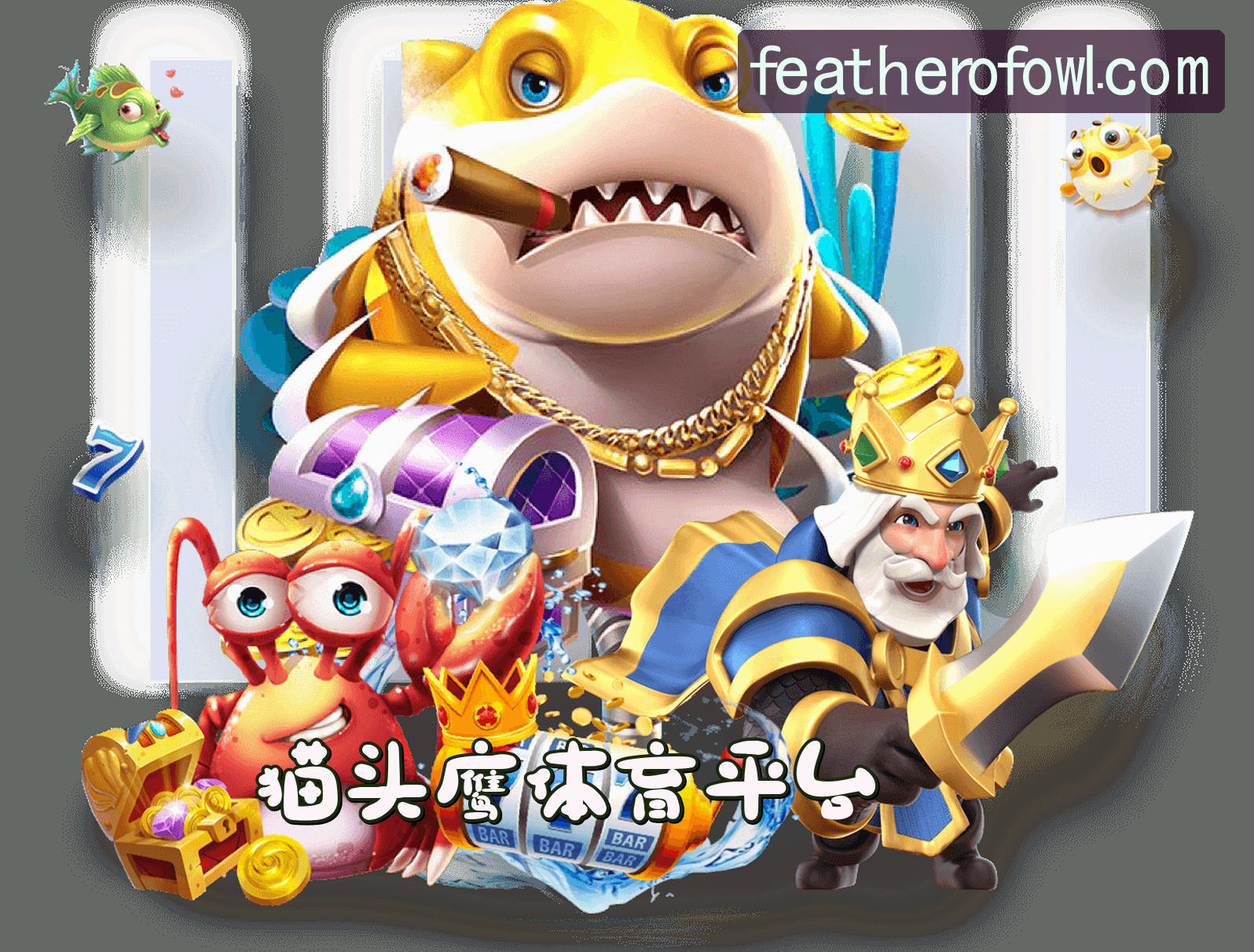 关于我们关于我们信息